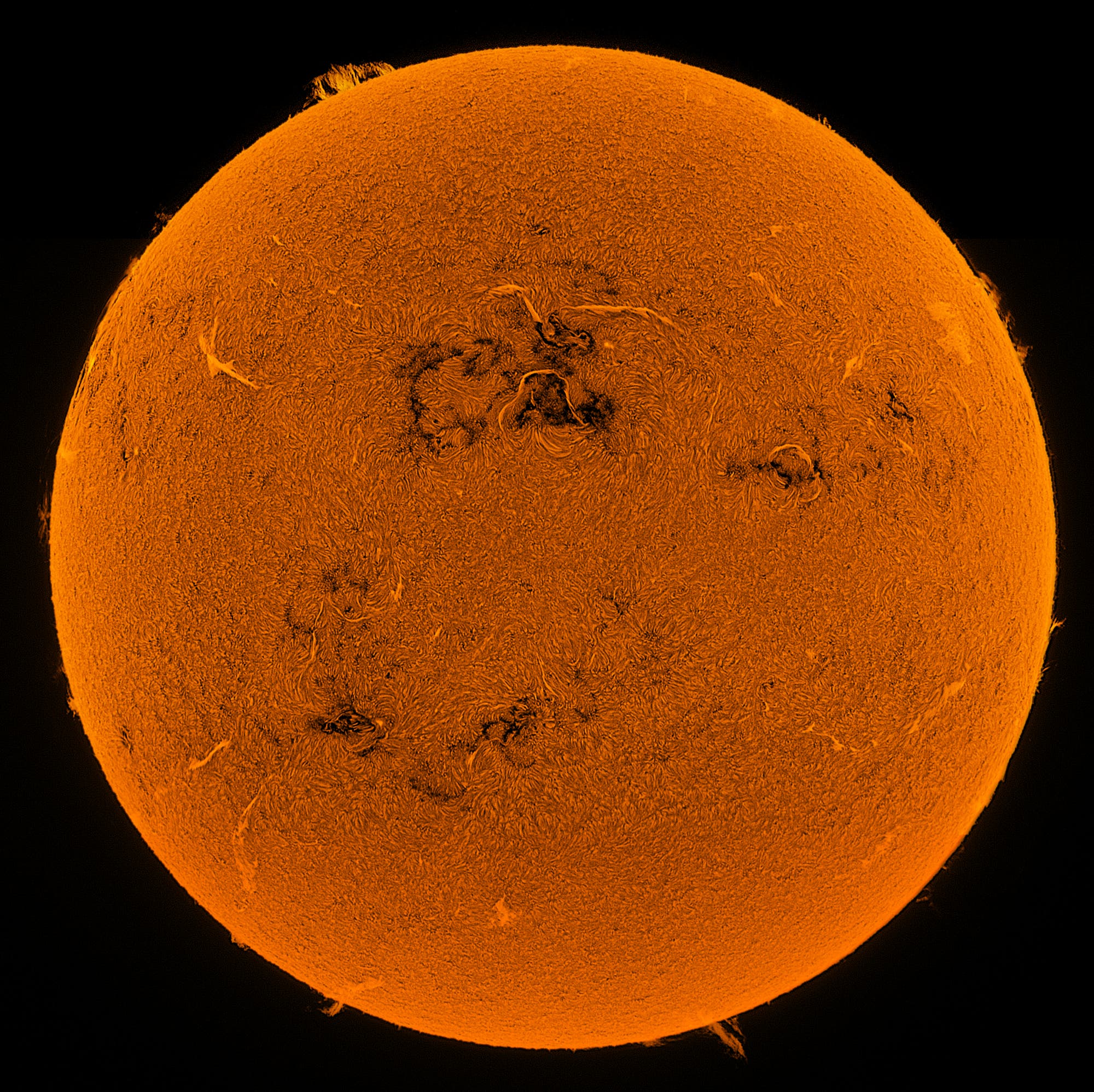 Die Sonne am des 7. Juli 2023 in HAlpha Spektrum der Wissenschaft